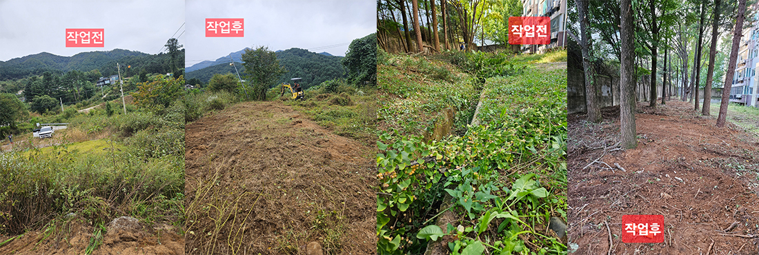 전후 비교 이미지